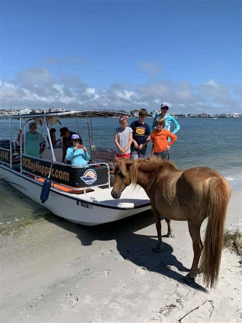 salty boat tours ocean city md Turn off your mind and travel to a more secluded location on Assateague Island National Seashore for a relaxing experience at the beach